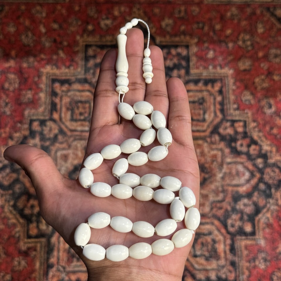 Camel Bone